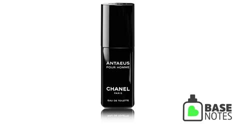 Antaeus by Chanel– Basenotes